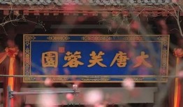 西安大唐爆料最新消息,揭秘古都历史新发现