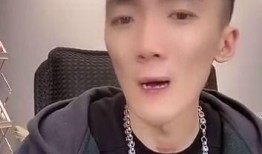 李舒克爆料天佑了吗视频,独家爆料视频深度解析