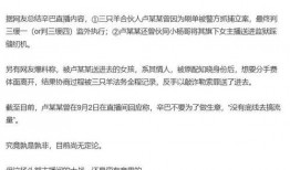 辛巴爆料三只羊事件视频,揭秘网络直播背后的惊人真相